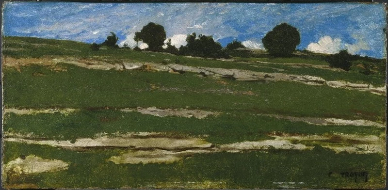 Collina con affioramenti rocciosi - Brooklyn Museum, New York